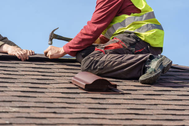 Best Roof Gutter Cleaning  in Kingston, IL