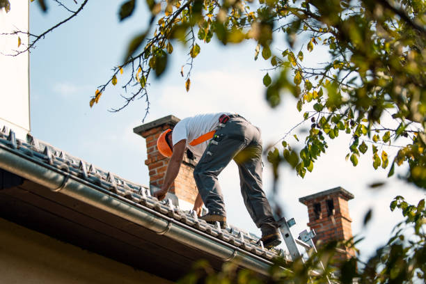 Best New Roof Installation  in Kingston, IL