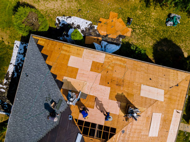 Best Commercial Roofing Services  in Kingston, IL