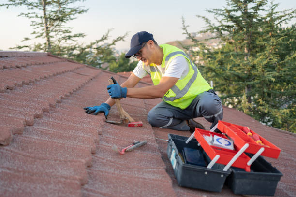 Gutter Installation and Roofing in Kingston, IL